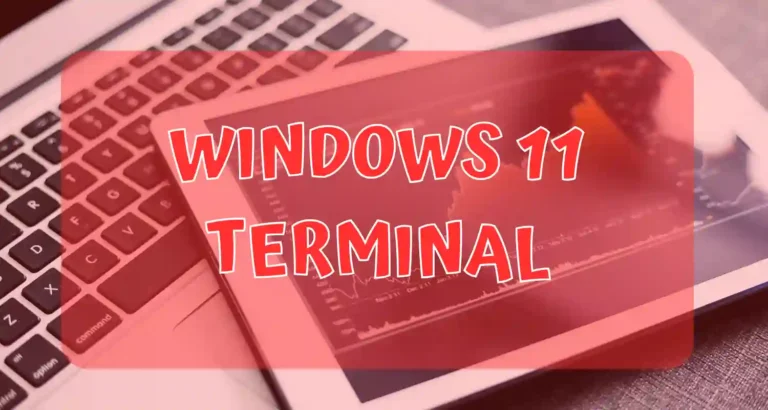 Terminal Windows