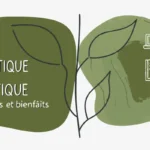 informatique et la bureautique